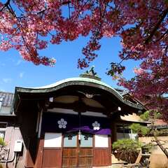 投稿日:2025年1月28日 写真