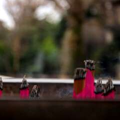 投稿日:2025年1月25日 写真