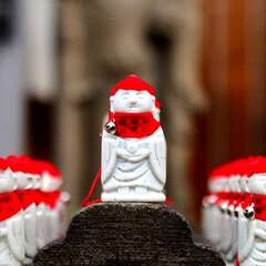 投稿日:2025年1月25日 写真