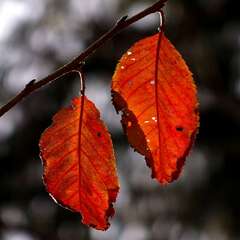 投稿日:2025年1月28日 写真