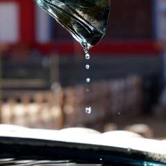 投稿日:2025年1月28日 写真