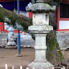 投稿日:2025年1月25日 写真