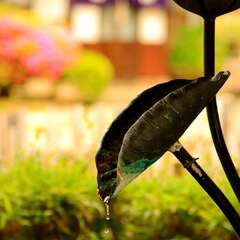 投稿日:2025年1月28日 写真