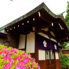 投稿日:2025年1月28日 写真