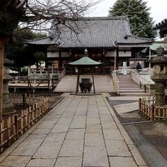 投稿日:2025年1月25日 写真