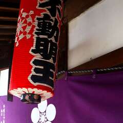 投稿日:2025年1月25日 写真