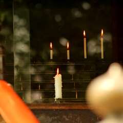 投稿日:2025年1月28日 写真