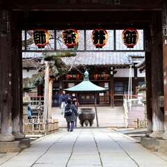 投稿日:2025年1月25日 写真