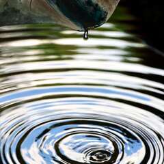 投稿日:2025年1月28日 写真