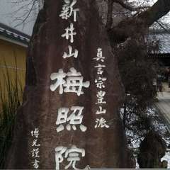 投稿日:2022年1月8日 写真