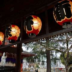 投稿日:2025年1月25日 写真