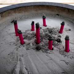 投稿日:2025年1月25日 写真