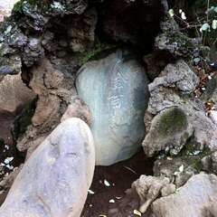 投稿日:2025年1月25日 写真