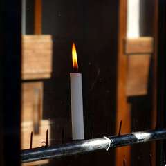 投稿日:2025年1月28日 写真