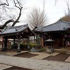 投稿日:2025年1月25日 写真