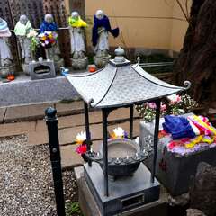 投稿日:2025年1月25日 写真