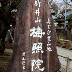 投稿日:2025年1月25日 写真