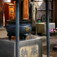 投稿日:2025年1月28日 写真