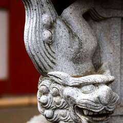 投稿日:2025年1月25日 写真