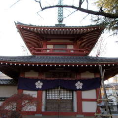 投稿日:2021年2月17日 写真