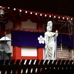 投稿日:2025年1月25日 写真