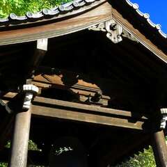 投稿日:2025年1月28日 写真