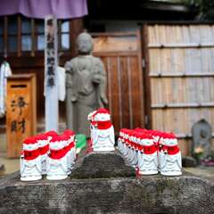 投稿日:2025年1月25日 写真