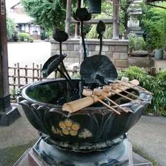 投稿日:2023年3月20日 写真