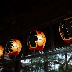 投稿日:2025年1月25日 写真