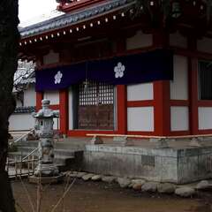 投稿日:2025年1月25日 写真