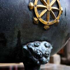 投稿日:2025年1月25日 写真