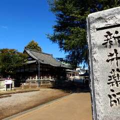 投稿日:2025年1月28日 写真