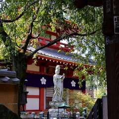 投稿日:2025年1月28日 写真