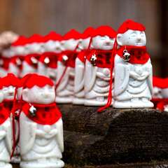 投稿日:2025年1月25日 写真