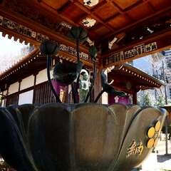 投稿日:2025年1月28日 写真