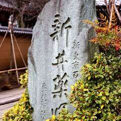 投稿日:2025年1月25日 写真