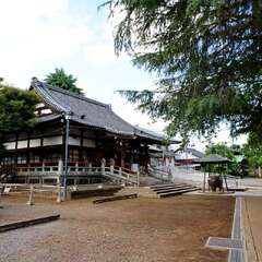 投稿日:2025年1月28日 写真