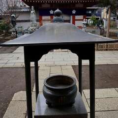 投稿日:2025年1月25日 写真