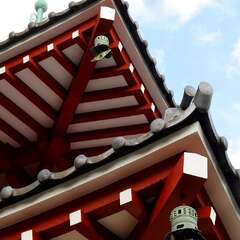 投稿日:2025年1月28日 写真