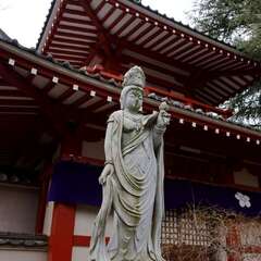 投稿日:2025年1月25日 写真