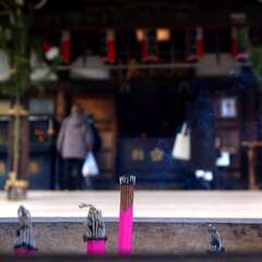 投稿日:2025年1月28日 写真