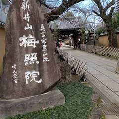 投稿日:2021年12月22日 写真