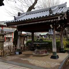 投稿日:2025年1月25日 写真