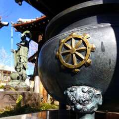 投稿日:2025年1月28日 写真