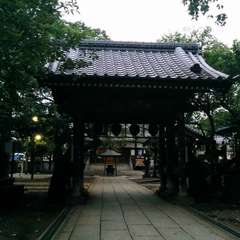 投稿日:2023年3月20日 写真