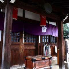 投稿日:2025年1月25日 写真