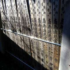 投稿日:2025年1月28日 写真