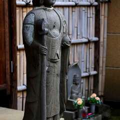 投稿日:2025年1月25日 写真