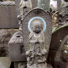 投稿日:2025年1月25日 写真