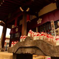 投稿日:2025年1月28日 写真